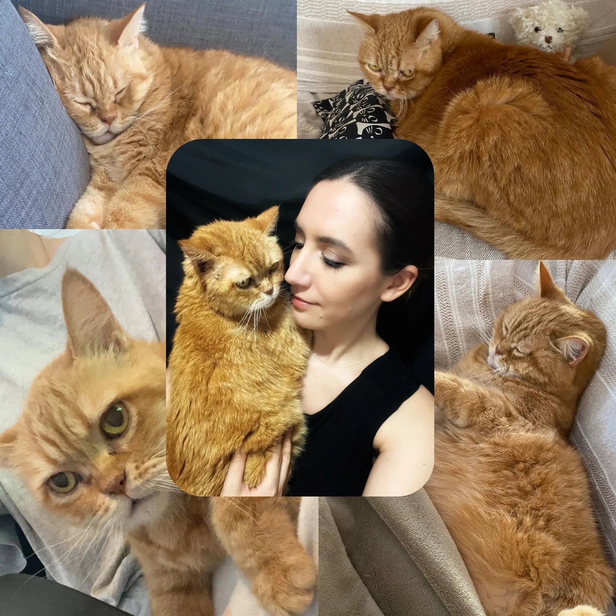 Love of My Life - Vela