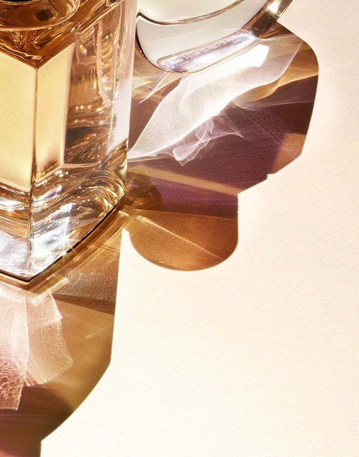 CÓMO ESCOGER EL AROMA ADECUADO