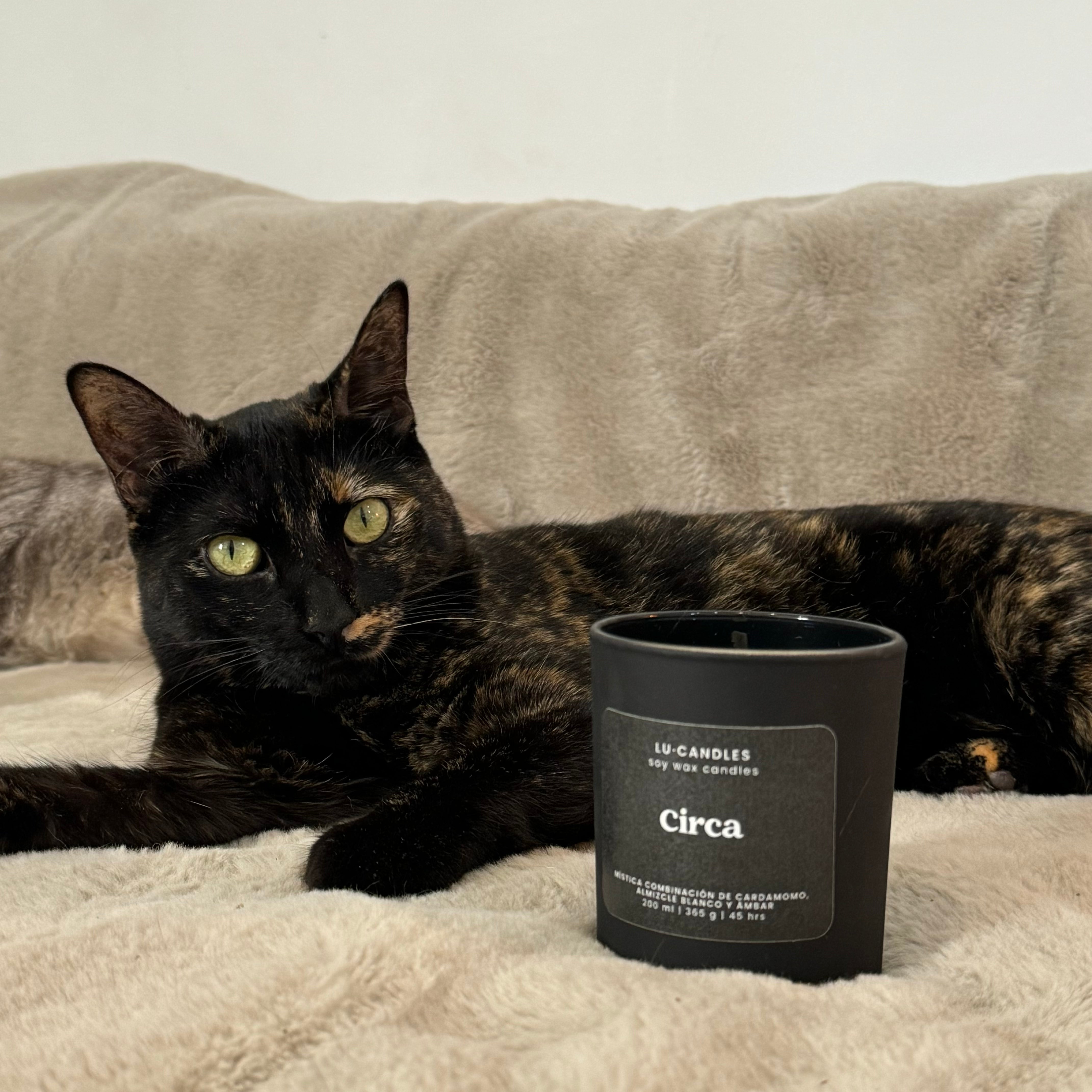 Circa - Vela